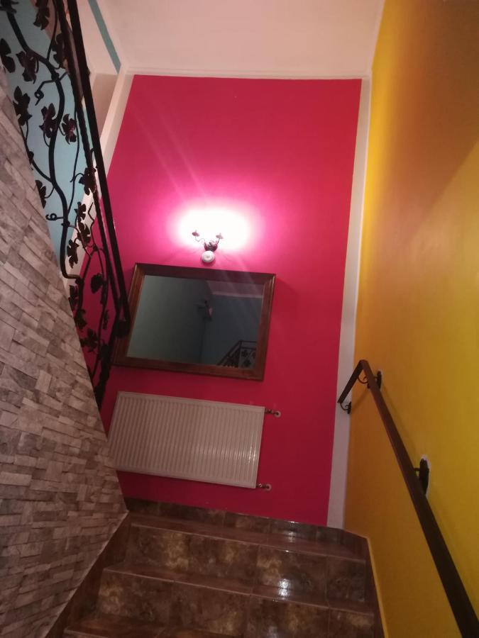 Hostel Los Amigos Rzeszow Dış mekan fotoğraf